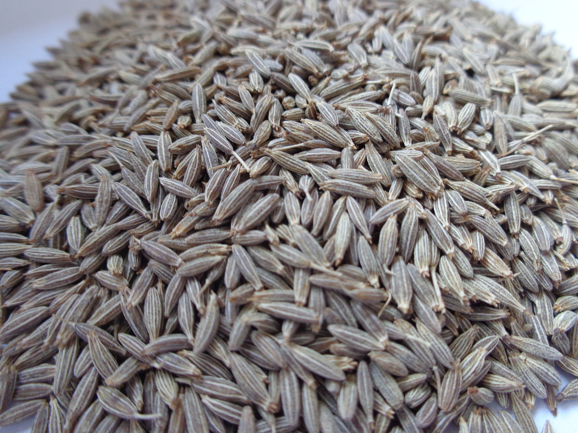 Cumin Seeds Bold Size