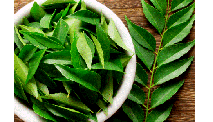 Basil Food Offer Best Quality of Fresh & Dried Curry Leaves, Herbal Products, And All Vegetable.
