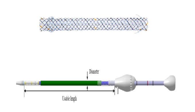 Biliary Stent with Delivery System