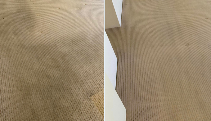 Golden Carpet Cleaning is your trusted solution for achieving flawlessly clean carpets. Our team of ...
