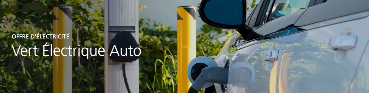 Avec EDF Vert Électrique Auto, bénéficiez une électricité verte 50 % moins chère la nuit et en optio...