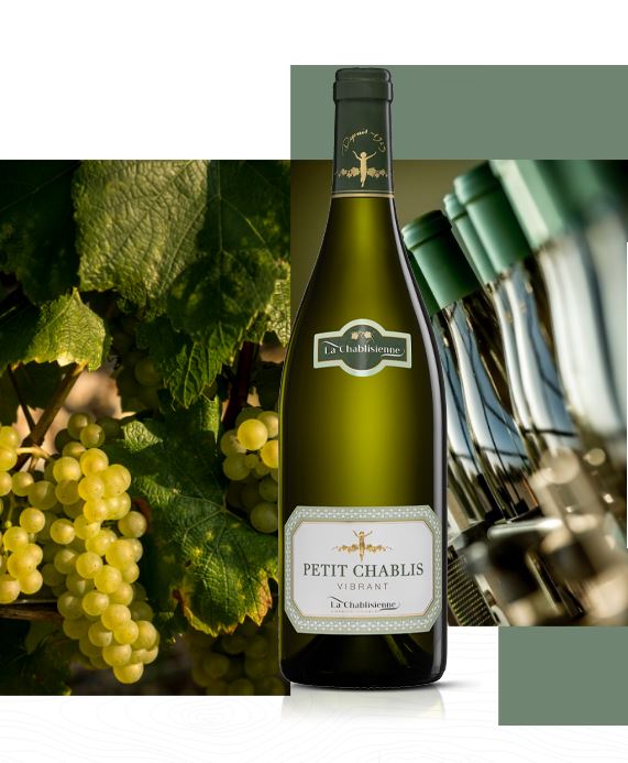 Petit Chablis Vibrant