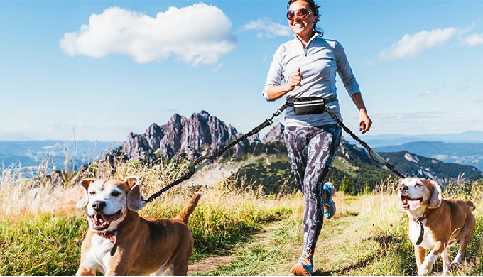 This is the direct factory of Dog leashes from China, quality ensured by eco-friendly materials, tes...
