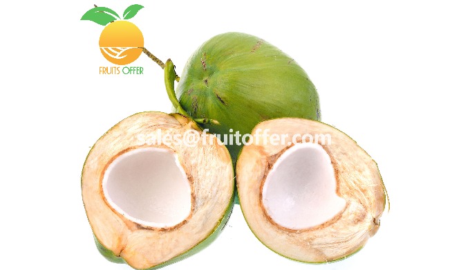 Product: Fresh Young Coconut, - White Diamond Cut - Easy Open - Green Whole Shell Export Type: FRESH...