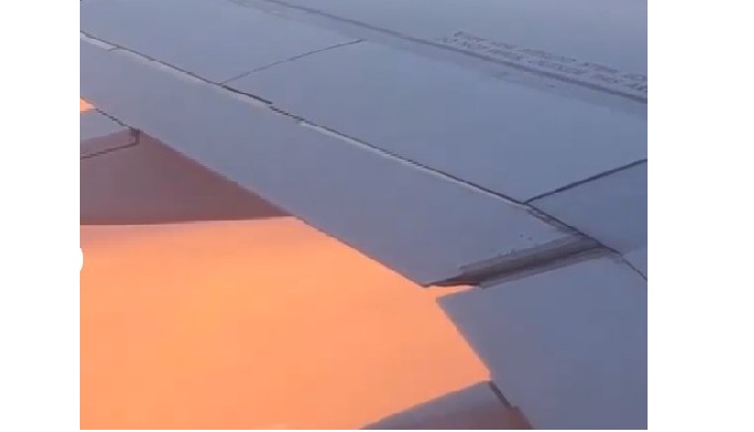 Transporte aéreo de cargas refrigeradas Mercury Cargo