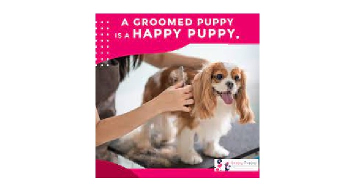 Whether big or small we groom them all! Happy Puppy Grooming Boutique is a mobile grooming service a...