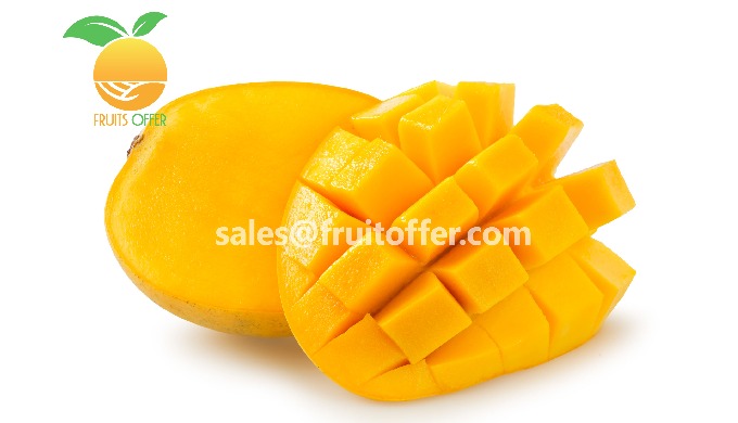 Mango Type: Cat Chu, Kaew Export Type: Frozen IQF, delivered in Container 20'FCL / 40'FCL Sizes: Dic...