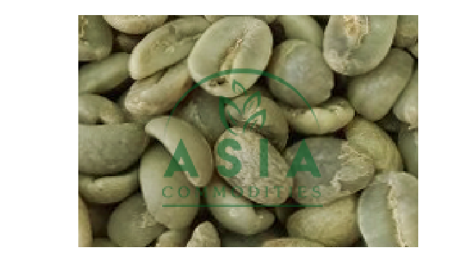 ARABICA COFFEE SCR 14-UNWASHED SCR 16-UNWASHED SCR 18- UNWASHED SCR 13 -WASHED SCR 14 -WASHED SCR 16...
