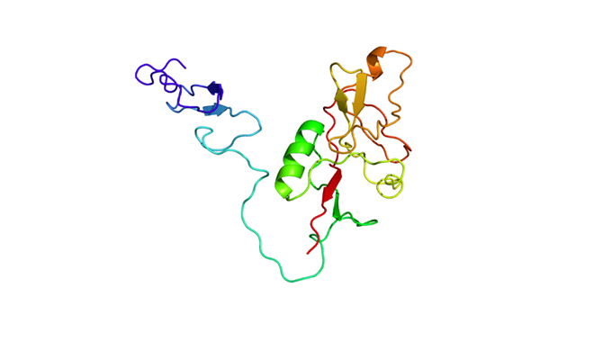 Trade name: EAFPSRINCI name: sh-Oilgopeptide-1 sr-Sea Raven Polypeptide-1Feature of ingredientRecomb...