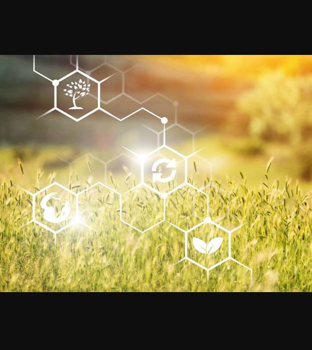 Analyse alimentaire QUALTECH