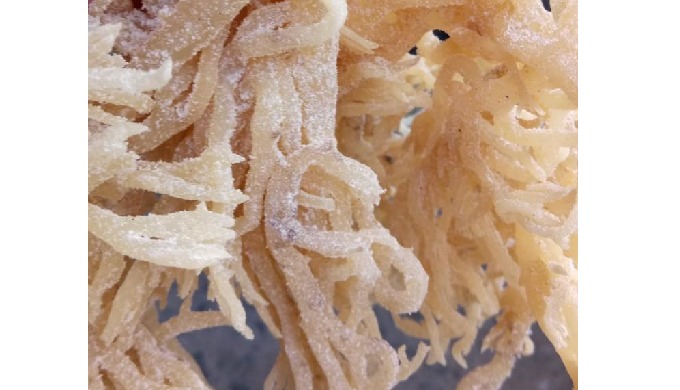 Product Type: Seaweed Variety: Laver Style: Dried Cultivation Type: COMMON Processing Type: Seasoned...