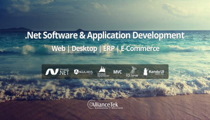 Completely automate your business operations with .NET development and business process automation t...