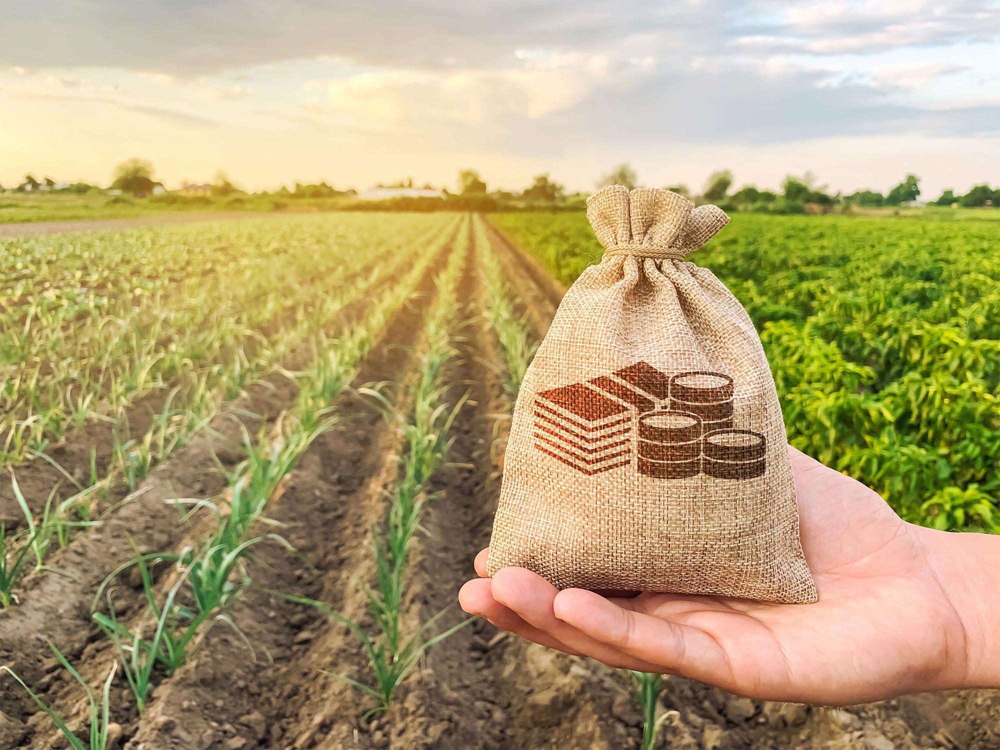 Steamtech Engineers Pvt. Ltd. presents high-performance Agro Commodity Drying Plants engineered to d...