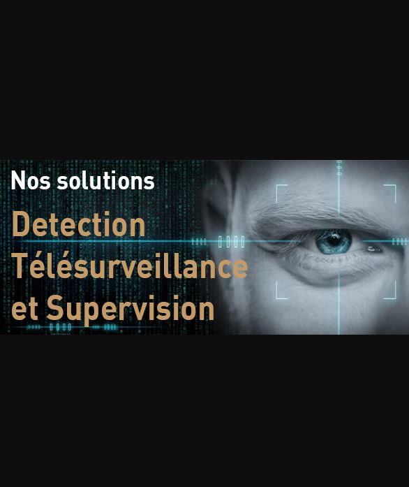 Solutions de détection Télésurveillance et supervision