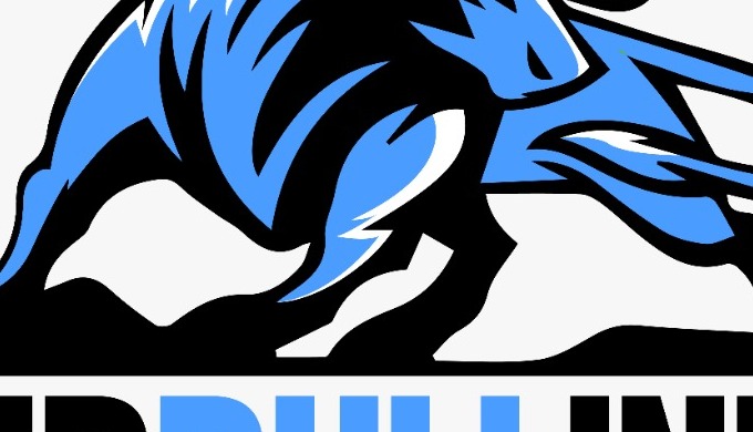 Web Bull India is one of the fastest-growing digital marketing agencies based in Delhi NCR. We offer...