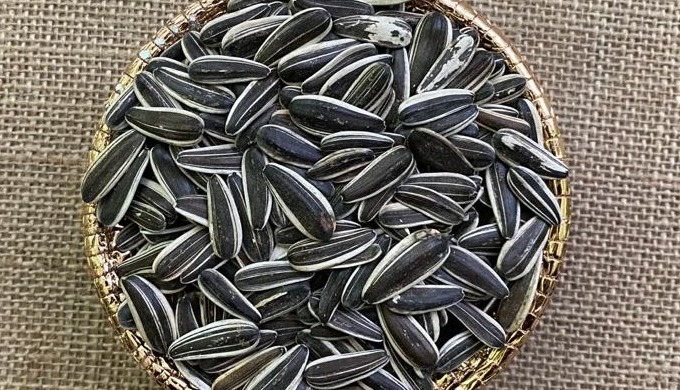 Sunflower Seeds, agriculturel products