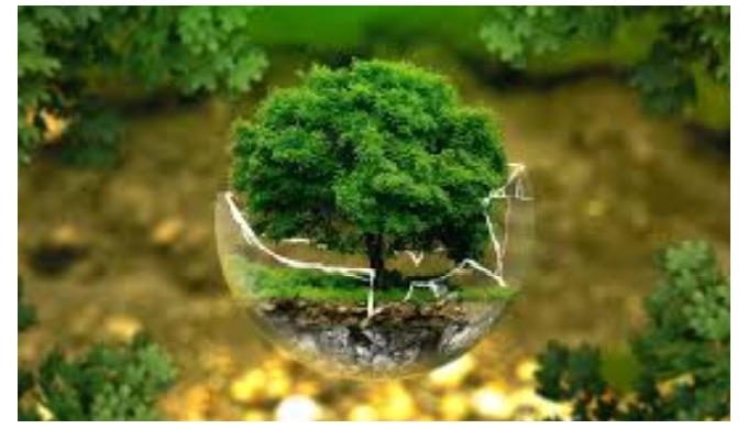 Colas de Almidón - Almetac