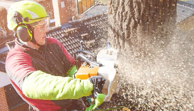 Welcome to Coventry Tree Services! We're excited to introduce ourselves as your go-to destination fo...