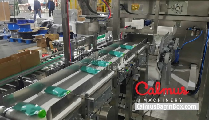 Doypack Pouch Collator and Case Packer System