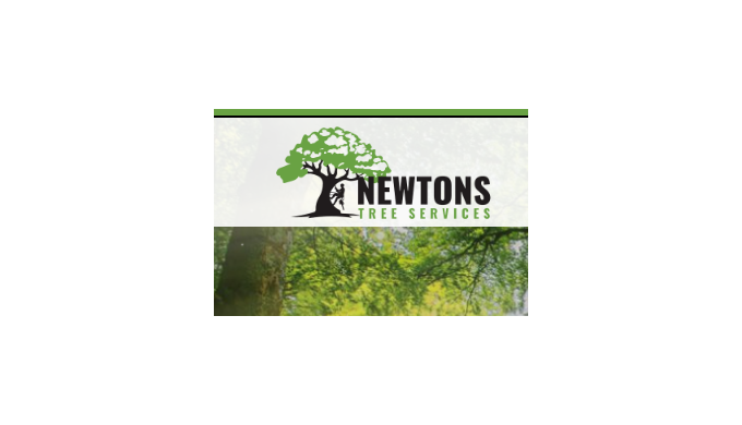 Are you looking for a reliable and competent tree surgeon? Stop your search...