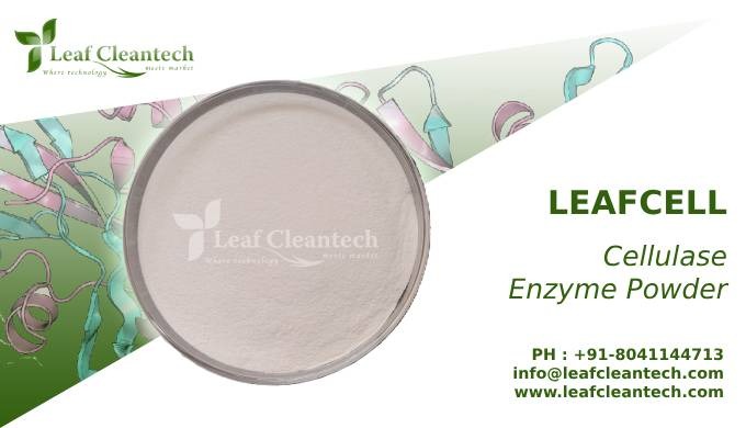 LEAFCELL Cellulase finds essential applications in the food and nutraceutical industry. It aids in t...