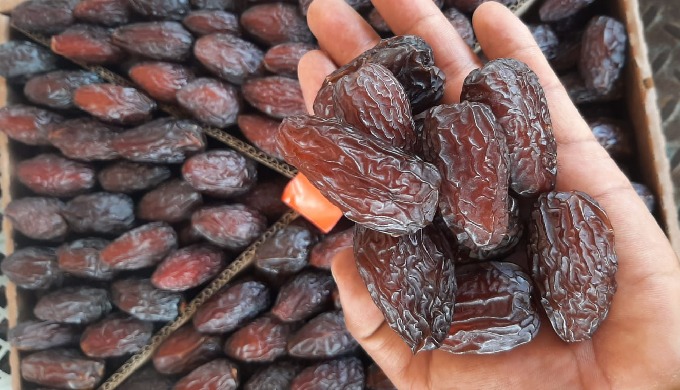 Medjool Dates