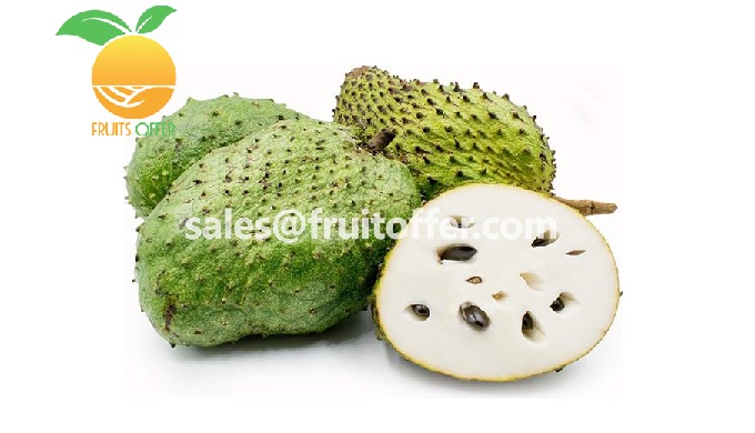 Product: Frozen Soursop, Seedless Export Type: Delivered in Sea Container 20'FCL / 40'FCL Origin: Vi...