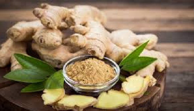 Madhya Pradesh is the largest producer of ginger in India, accounting for around 31% of the country'...
