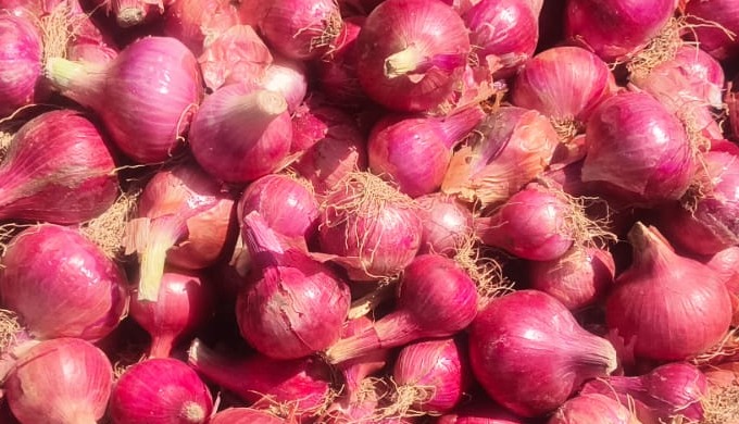 We specialize in exporting farm-fresh Indian onions renowned for their rich pungency, crisp texture,...