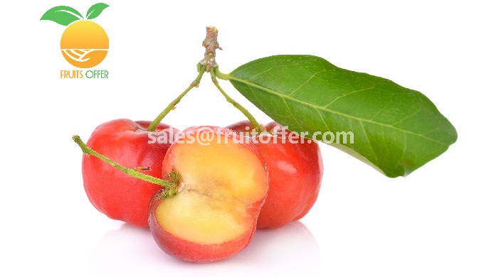 Product: Acerola Origin: Viet Nam Export Type: PUREE: in Bag, Vacuum, Drums... Delivered in Containe...
