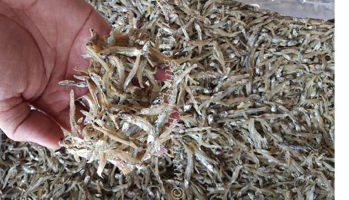 Product Descriptions: - Processing: Dried live/fresh fishes on bamboo mesh under the Sun, No salt ad...