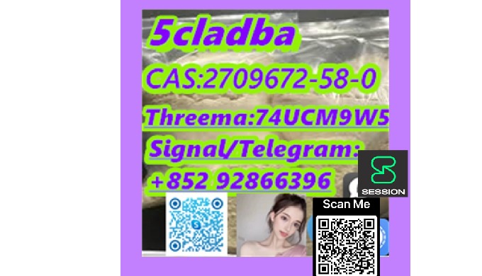 Telegram/Signal:+852 92866396 Threema:74UCM9W5 Payment terms: Western Union,MoneyGram,Bitcoin or USD...