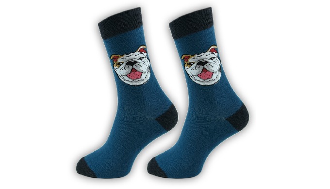 Colorful men's socks with Bulldog pattern