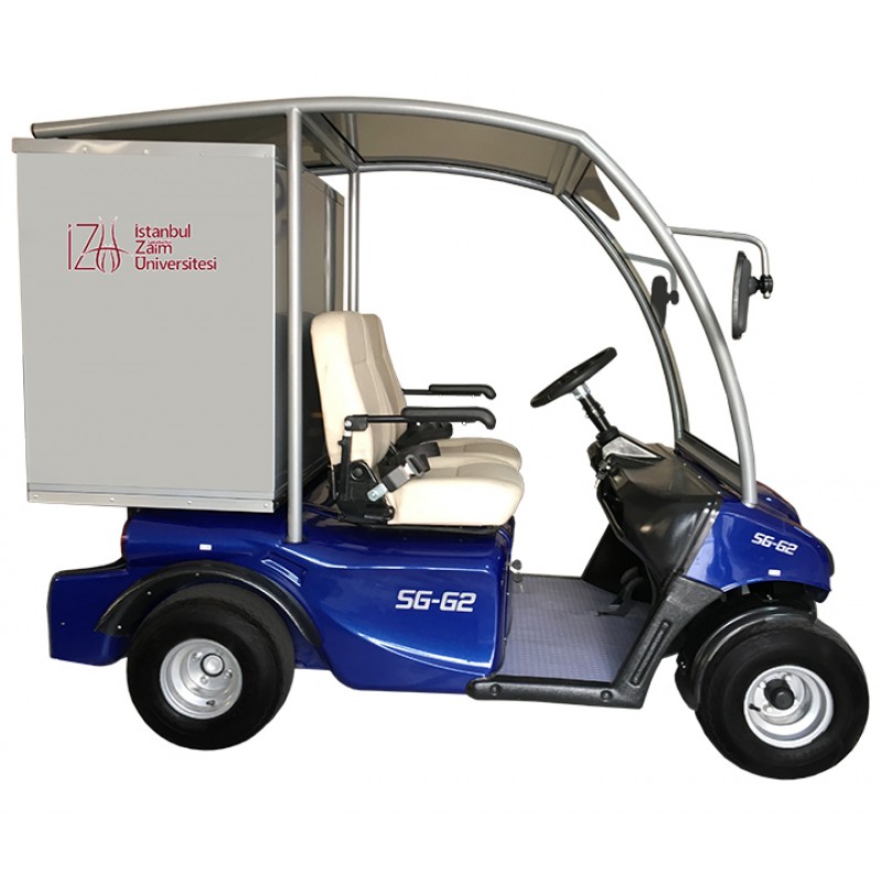 kasa golf buggy