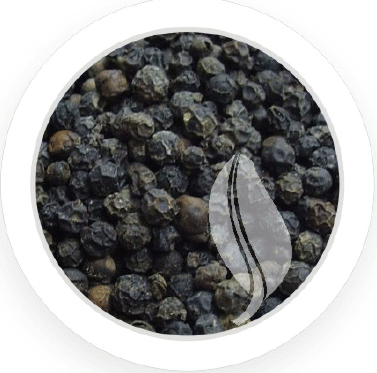 Black Pepper