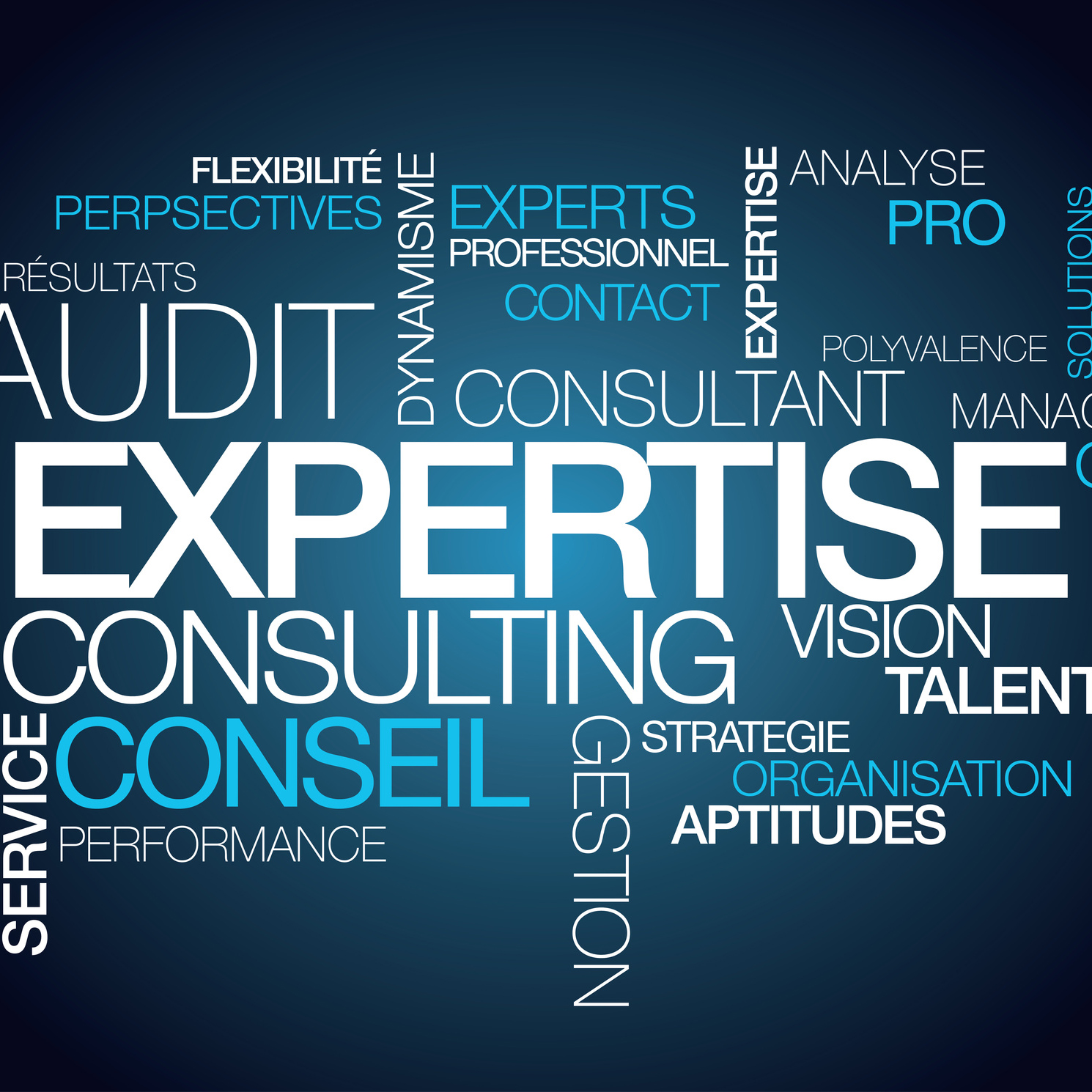 L’Institut des Ressources Humaines INTEGRAL est un organisme d’accompagnement par la formation, le c...