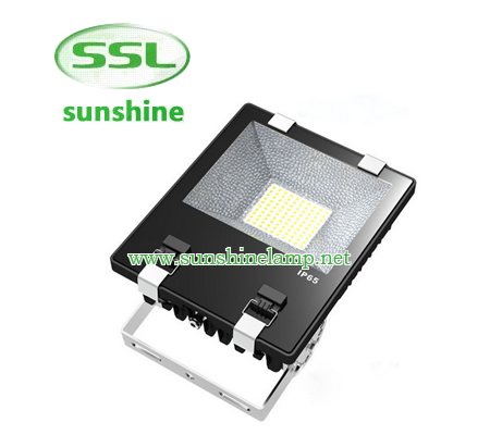 Die-casting aluminum housingAC85~265V input optionsOptical grade diffused lensGraduated angle scaleB...