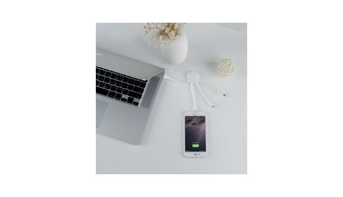 Cable de charge 3 en 1