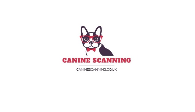 Canine Scanning , Artificial Insemination for Dogs , Progesterone Testing