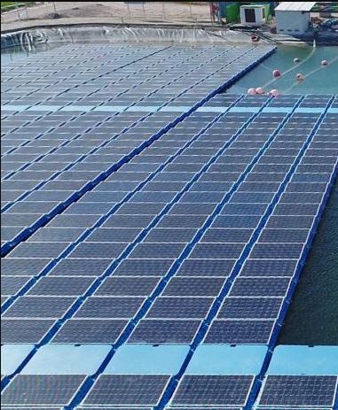TotalEnergies intervient dans le développement, la construction et l’exploitation des énergies renou...