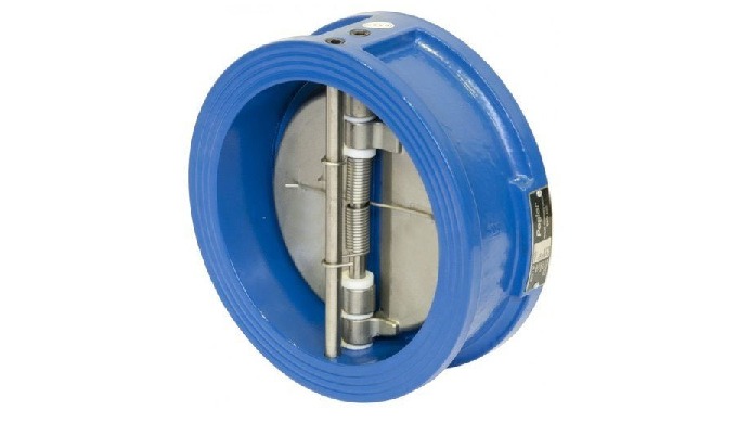 Dual Plate Check Valve