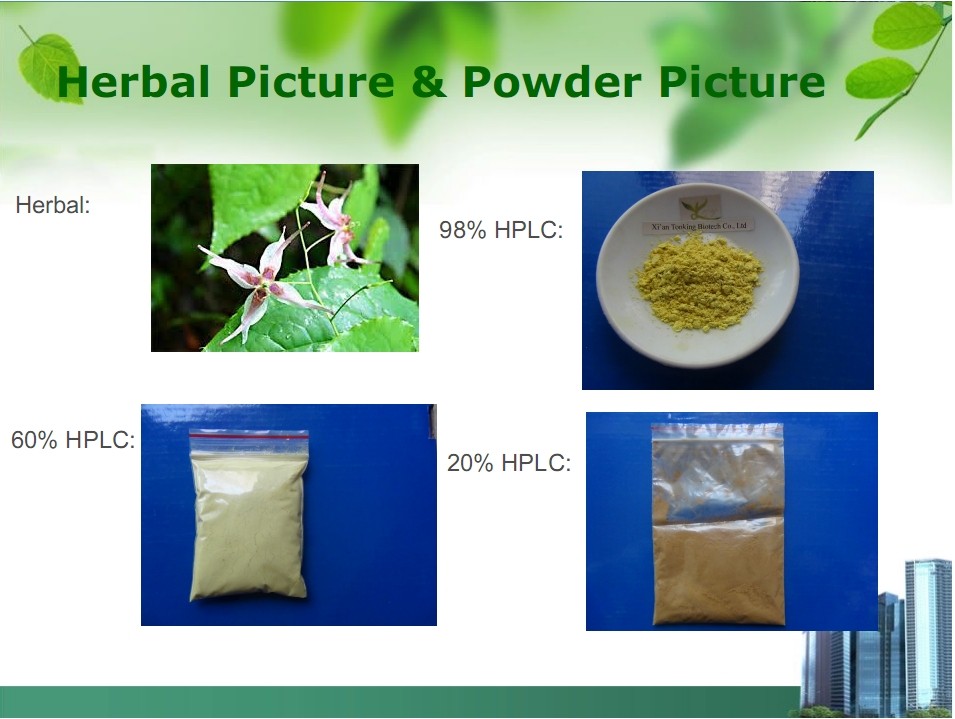 English Name: Epimedium Plant Extract Appearance: Brown or yellow fine powder