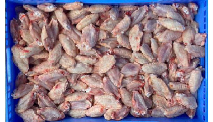 Frozen chicken mid wings