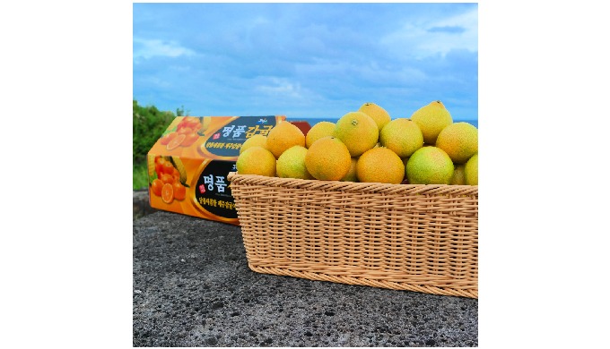 Premium Korean Fresh Mandarin is a fresh Korean citrus fruit known for its ...
