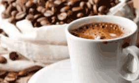 Manufacturer, Supplier & Exporter of Flavoured Coffee.