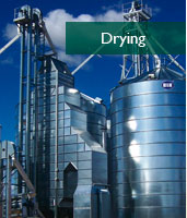 CIMBRIA - Drying