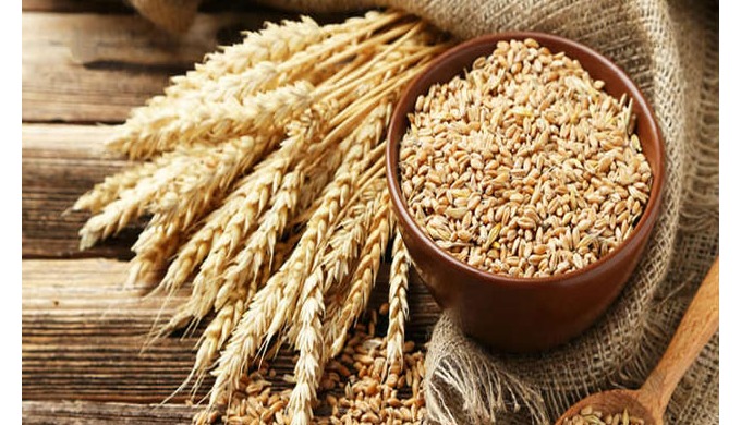 You can place order with minimum order quantity of 30000 Metric Tonne offered at 270 per Metric Tonn...