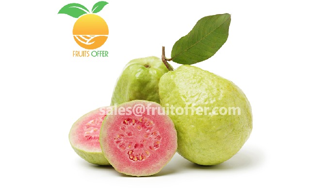 Product: Whole Fresh Guava - Green Skin, White Flesh - Green Skin, Red Flesh Export Type: FRESH, Del...