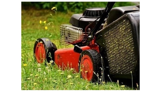 En Cosman realizamos un mantenimiento continuo de los jardines de tu comunidad, en el que se incluye...