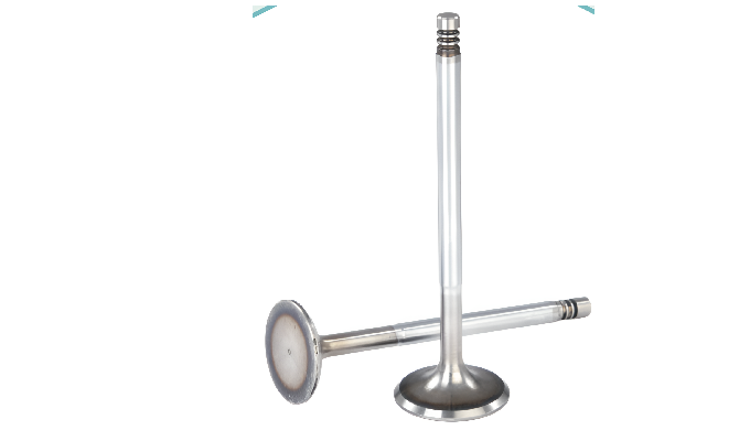 Our diesel engine valves are designed to withstand high compression and extreme temperatures. Suitab...